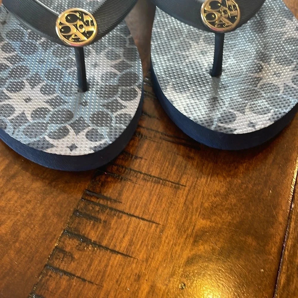 Coach Alessa Women's Patterned Blue Sandals